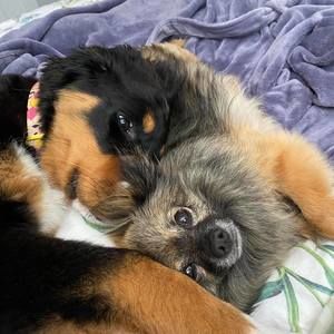 Meet your Posher, Tammy